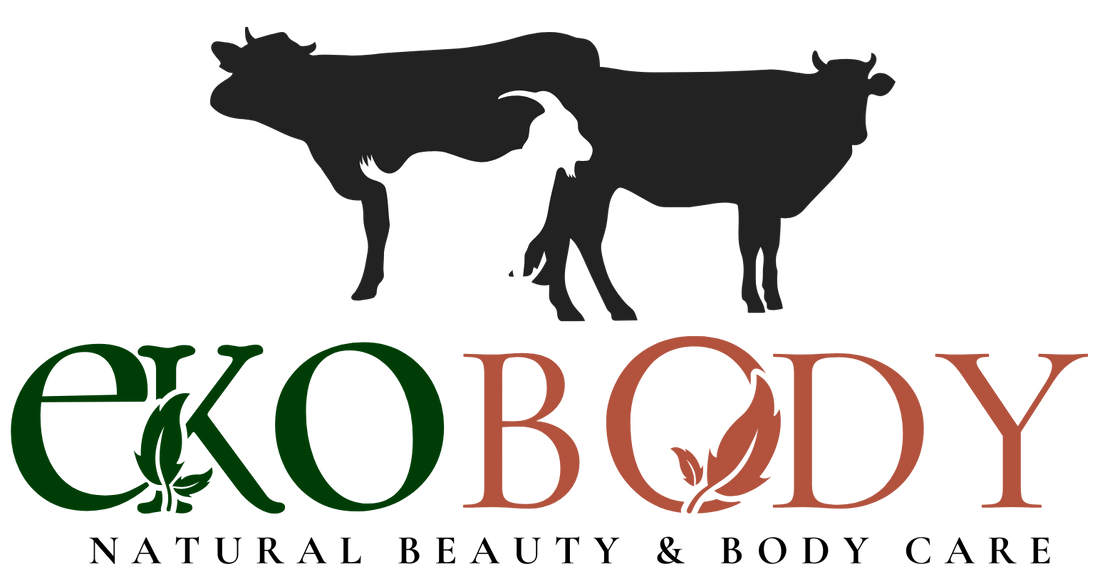 How EKO BODY Was Born